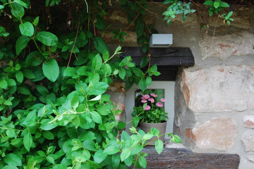 B&B Le Lodge Bourgheim Exterior photo